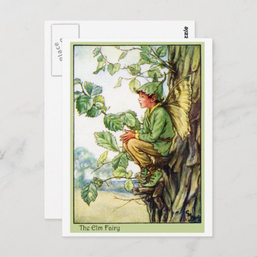 Carte Postale Fée d'arbre d'orme (Devant / Derrière)