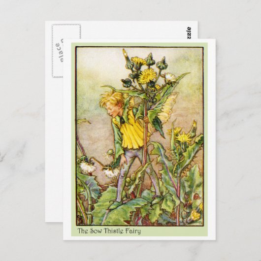 CARTE POSTALE FÉE DE CHARDON DE RDT (Devant / Derrière)