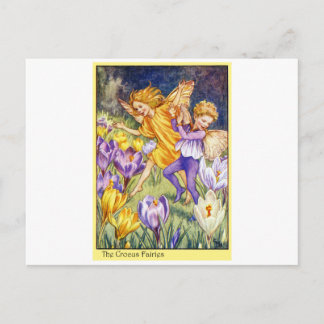 Carte Postale Fée de crocus
