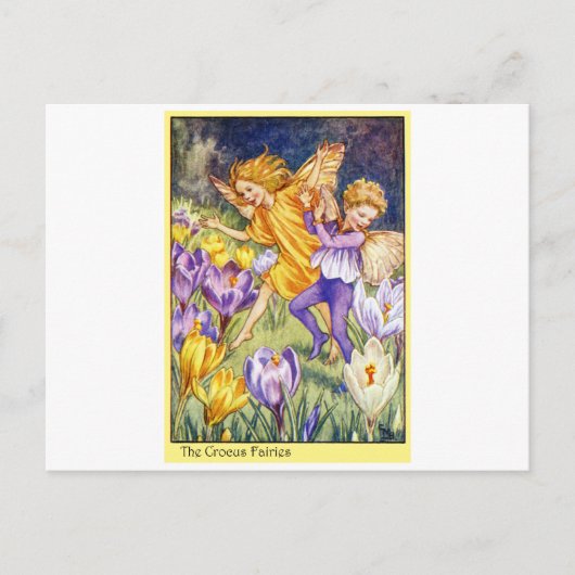 Carte Postale Fée de crocus (Devant)