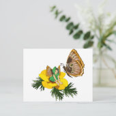 Carte Postale Fée de papillon vert (Debout devant)