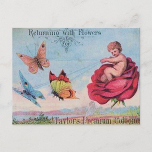 Carte Postale Fée et papillons Publicité Cologne (Devant)