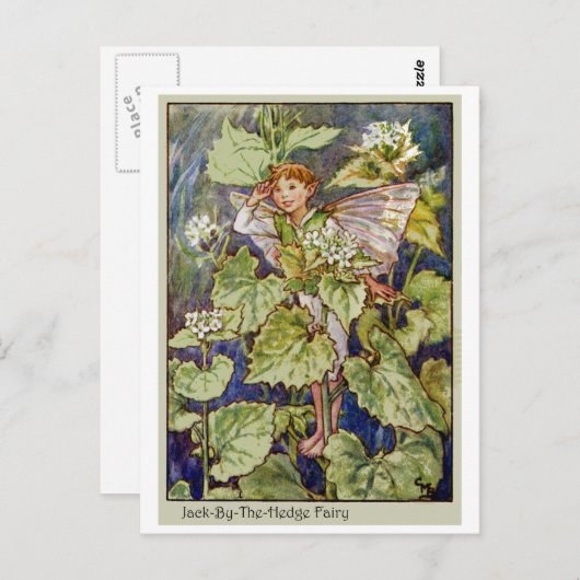 Carte Postale Fée Jack-By-The-Hedge (Devant / Derrière)