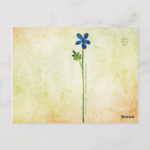 Carte postale Fée Papillon (Dos)