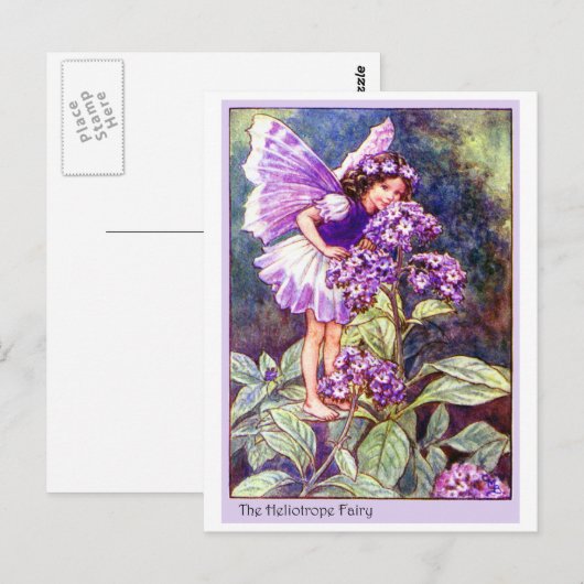 Carte Postale Fée pourpre (Devant / Derrière)