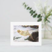 Carte Postale Fée sur le mont Snowy (Debout devant)