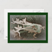 Carte Postale Féeries attrapant Nisse (gnome) (Devant / Derrière)