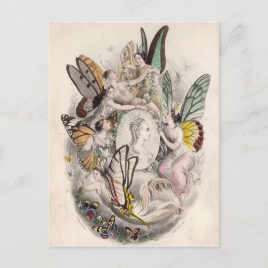 Carte Postale Féeries de fées anciennes Nymphes Imprimer (Devant)