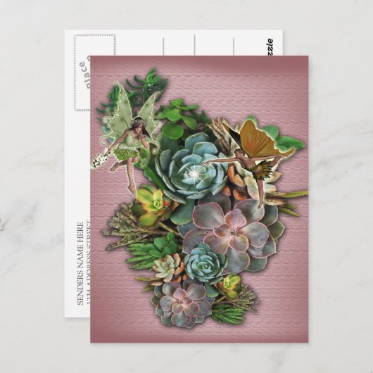 Carte Postale Fées sur un écran succulent (Devant / Derrière)