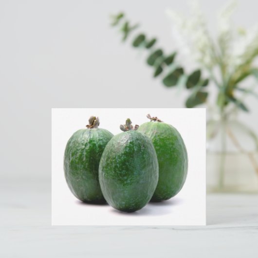 Carte Postale Feijoa (Debout devant)