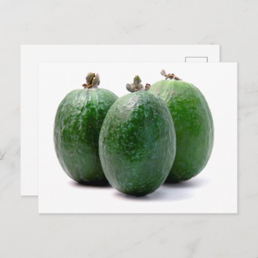 Carte Postale Feijoa (Devant / Derrière)