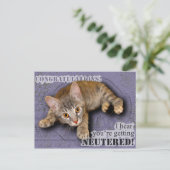 Carte Postale Félicitation ! Vous êtes castré ! (Debout devant)