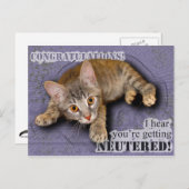 Carte Postale Félicitation ! Vous êtes castré ! (Devant / Derrière)