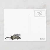 Carte Postale Félicitation ! Vous êtes castré ! (Dos)