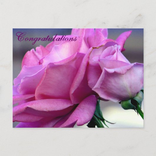 Carte postale Félicitations_ (Devant)