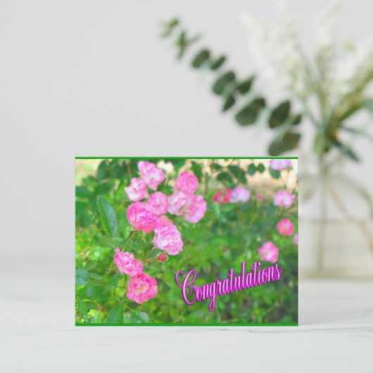 Carte Postale félicitations (Debout devant)