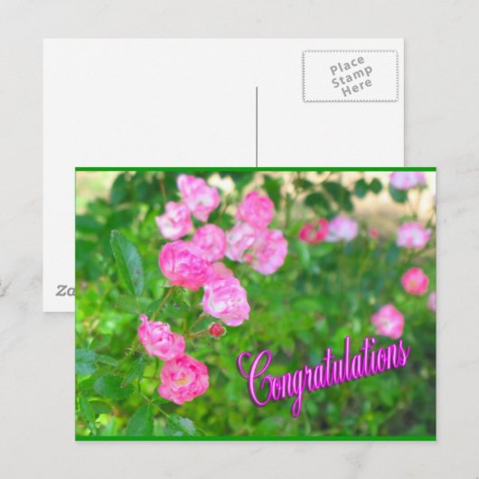 Carte Postale félicitations (Devant / Derrière)