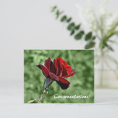 Carte postale Félicitations (Debout devant)