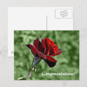 Carte postale Félicitations (Devant / Derrière)