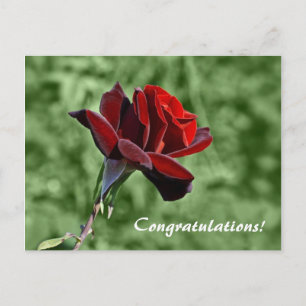 Carte postale Félicitations