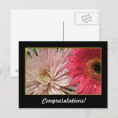 Carte Postale félicitations (Devant / Derrière)