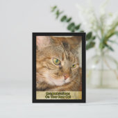 Carte Postale félicitations à votre nouveau chat (Debout devant)