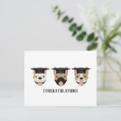 Carte Postale Félicitations Bouledogues Français (Debout devant)