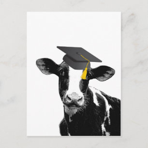 Carte Postale Félicitations Diplômé Drôle de Vache en Casquette