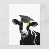 Félicitations Diplômé Vache Drôle en Casquette