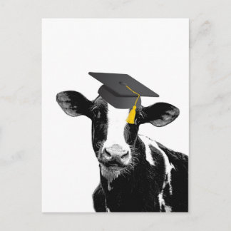 Carte Postale Félicitations Diplômé Vache Drôle en Casquette