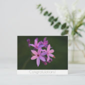 Carte postale Félicitations Fleurs (Debout devant)