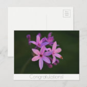 Carte postale Félicitations Fleurs (Devant / Derrière)