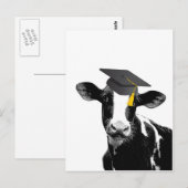 Carte Postale Félicitations Graduation Funny Cow en Casquette (Devant / Derrière)
