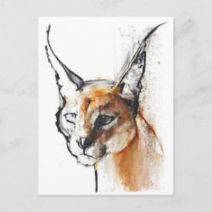 Carte Postale Feline