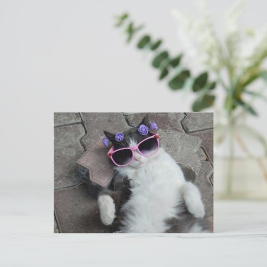 Carte Postale Feline Diva (Debout devant)