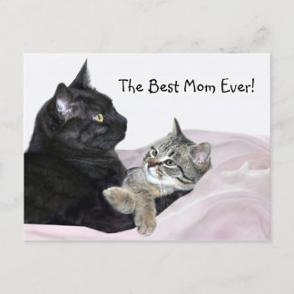 Carte Postale Feline Fête des mères