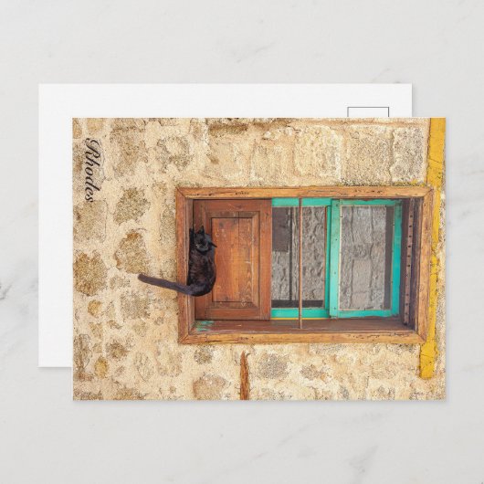 Carte Postale Feline grecque (Devant / Derrière)