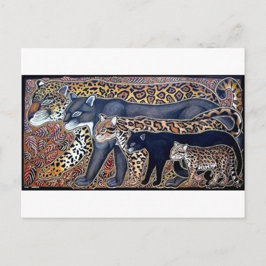 Carte Postale Felinos de Costa Rica - Gros chats (Devant)