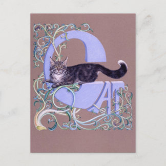 Carte Postale Felis Illumine