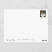 Carte Postale Felix en mode réfléchi (Dos)