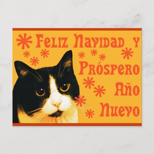 Carte Postale Felix Navidad (Devant)