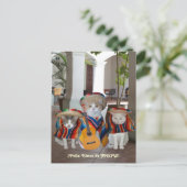 Carte Postale Feliz Cinco de Mayo (Debout devant)