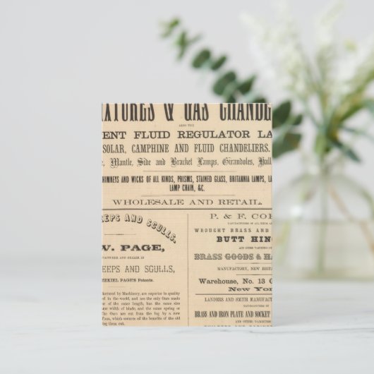 Carte Postale Fellows, Hoffman et Compagnie (Debout devant)