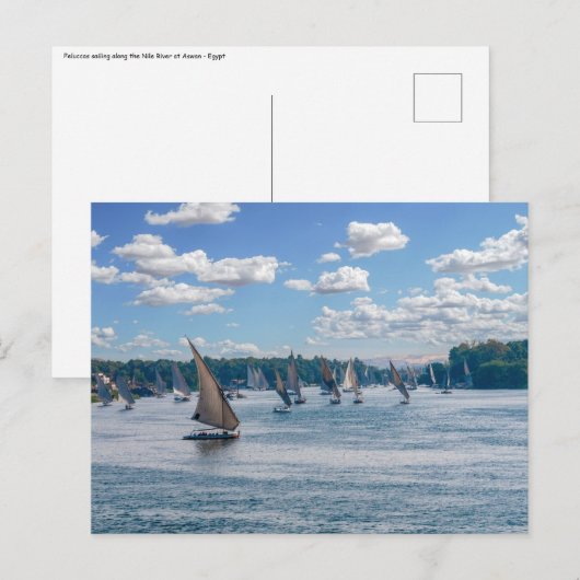 Carte Postale Feluccas le long du Nil - Assouan, Egypte (Devant / Derrière)