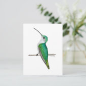 Carte Postale Female Ruby-throated Hummingbird (Debout devant)