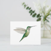Carte Postale Female Ruby-throated Hummingbird (Debout devant)