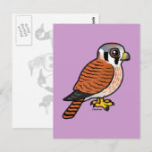 Carte Postale Femelle américaine Kestrel (Devant / Derrière)