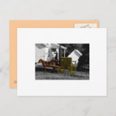 Carte Postale femme amish (Devant / Derrière)