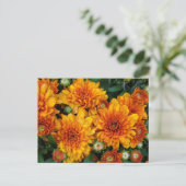 Carte Postale FEMME D'Autum (Debout devant)