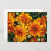 Carte Postale FEMME D'Autum (Devant / Derrière)